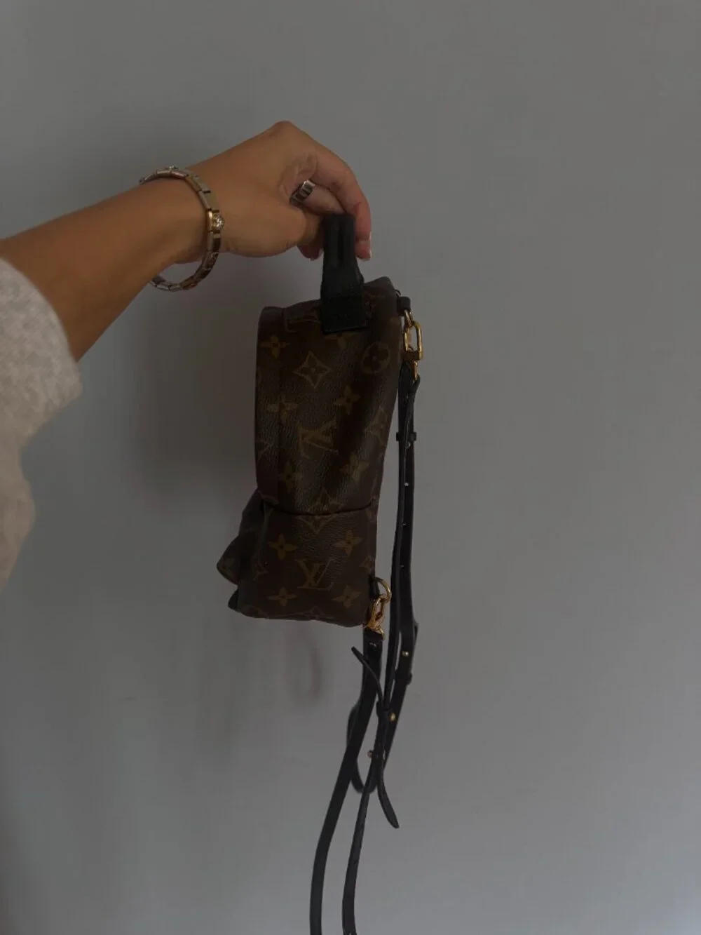 Louis Vuitton Palm Springs Mini Backpack with Gold Hardware